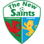 The New Saints logo