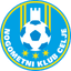 Celje logo