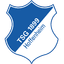 TSG Hoffenheim logo