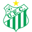 Uberlândia logo