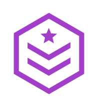 Level 5